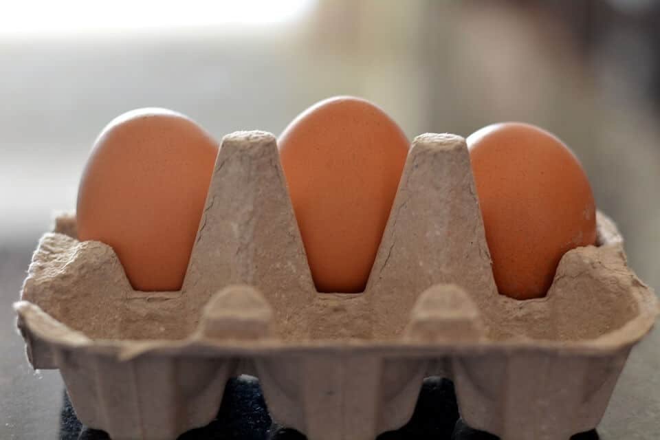 Danish Diet review protein foods eggs