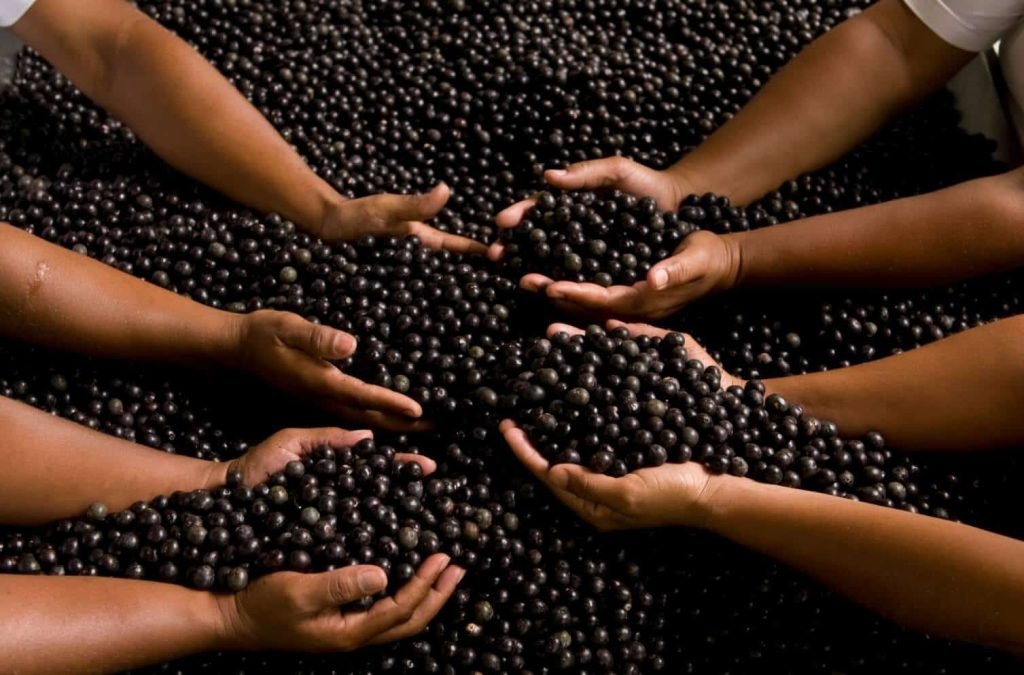 14 Day Acai Berry Cleanse review acai berries