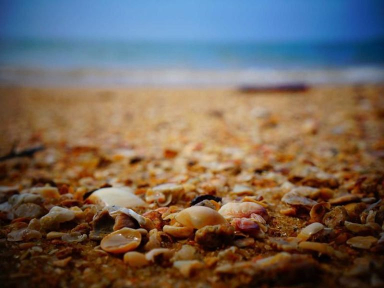 Honda Financing Bill - Honda Financing Bill