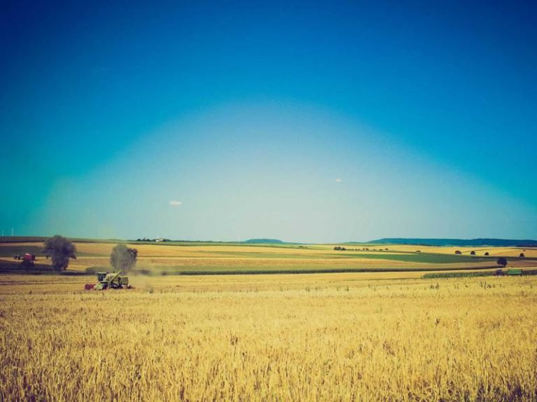 Southern California Edison Bill - Southern California Edison Bill