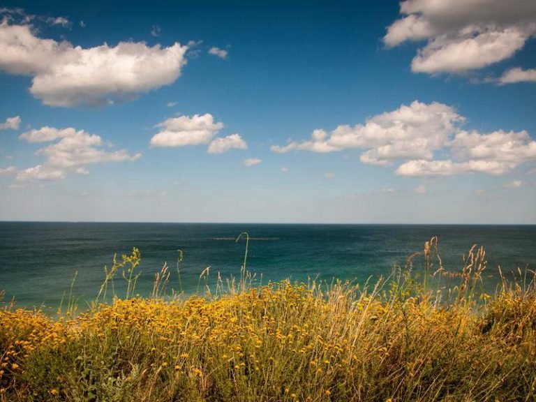 Irs Bill - IRS Bill