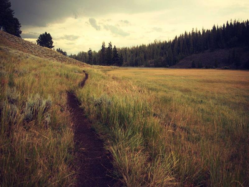 City Of Dover Bill - City of Dover Bill