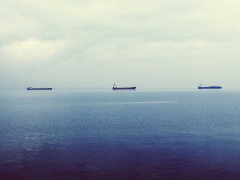 Old American County Mutual - Old American County Mutual Fire Insurance Claim