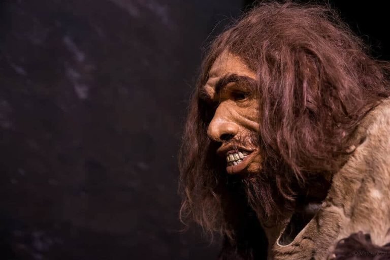 Caveman diet plan Paleo eating guide
