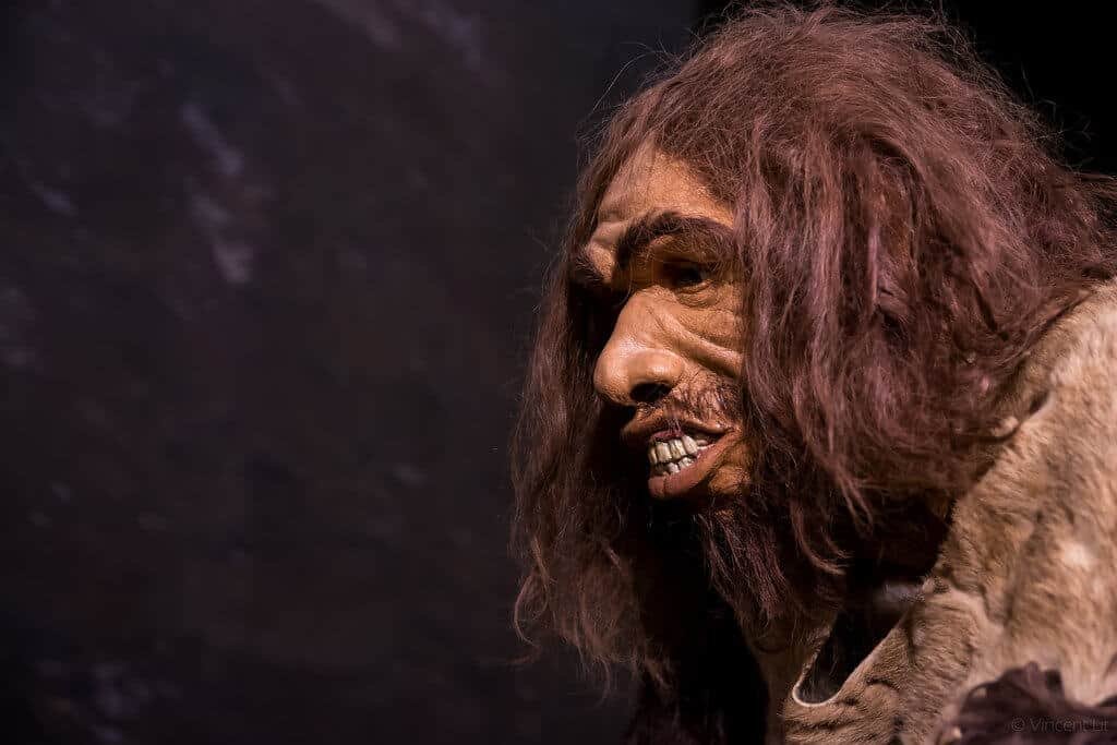 Caveman diet plan Paleo eating guide