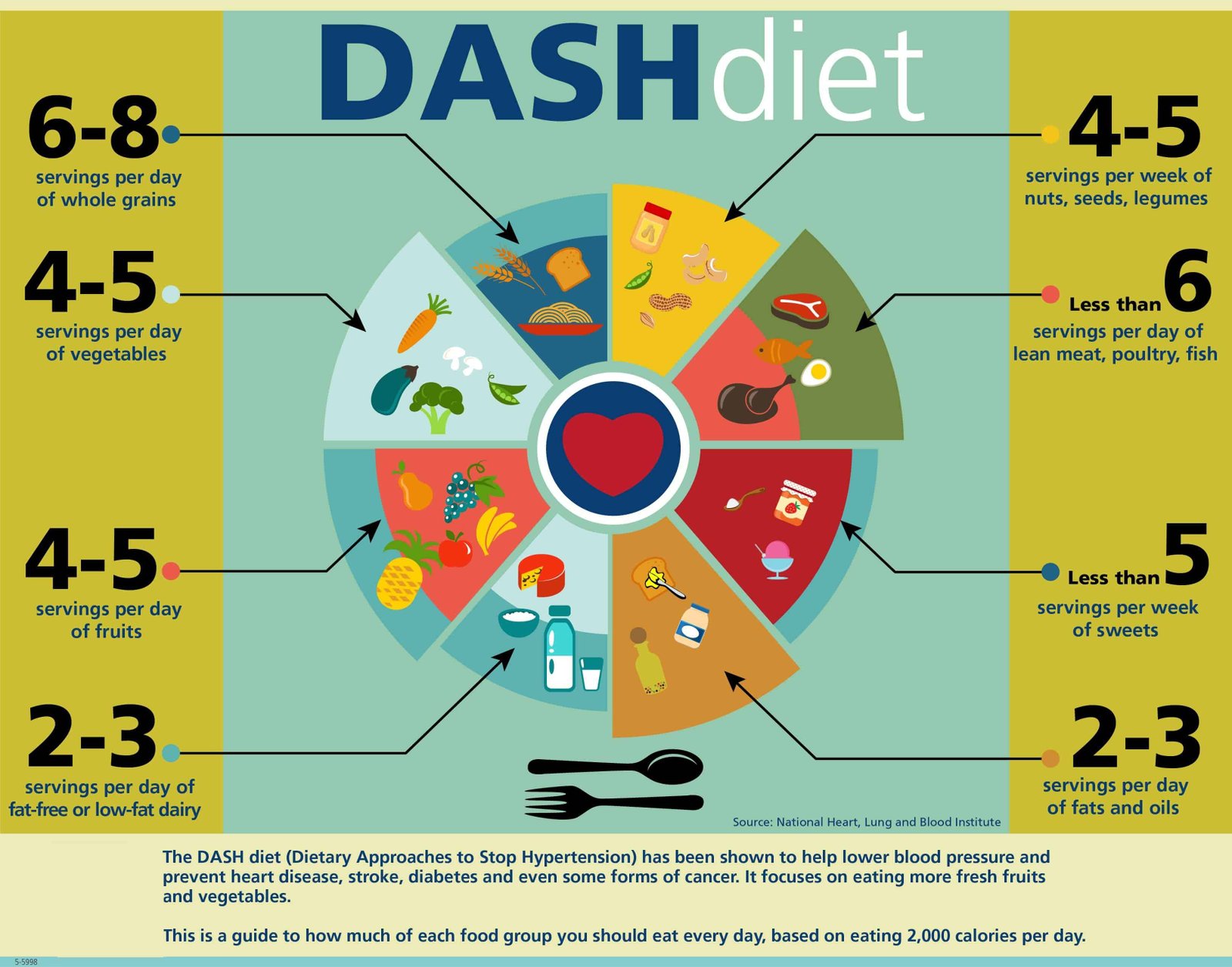 noom vs dash diet
