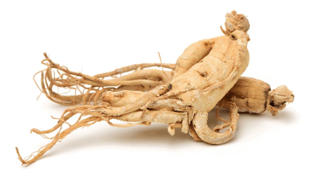 ginseng benefits for energy and focus