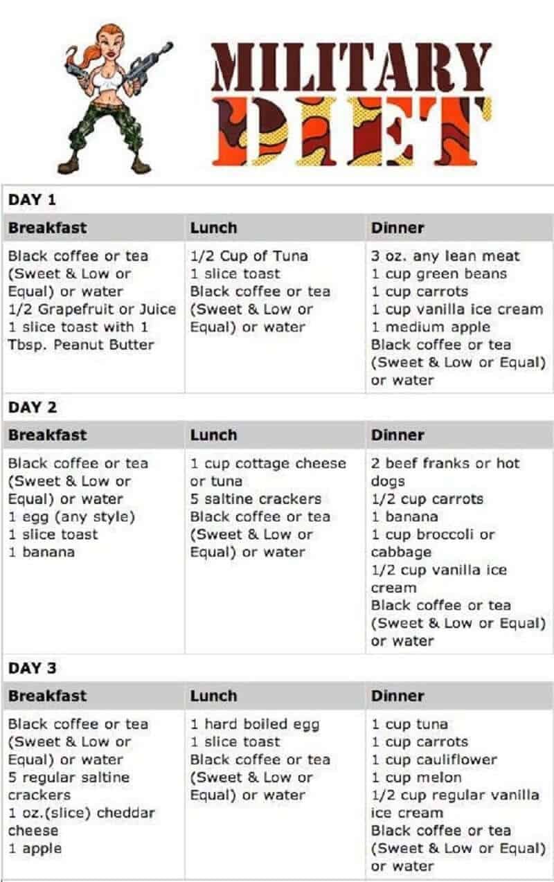 noom vs military diet