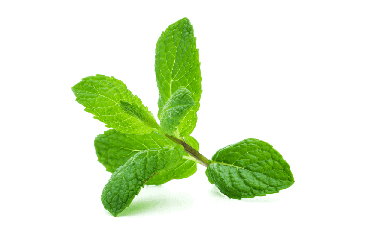Atrantil peppermint ingredient