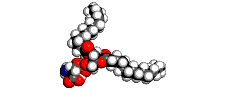 Phosphatidylserine - Phosphatidylserine: Benefits, Side Effects & Does It Work?