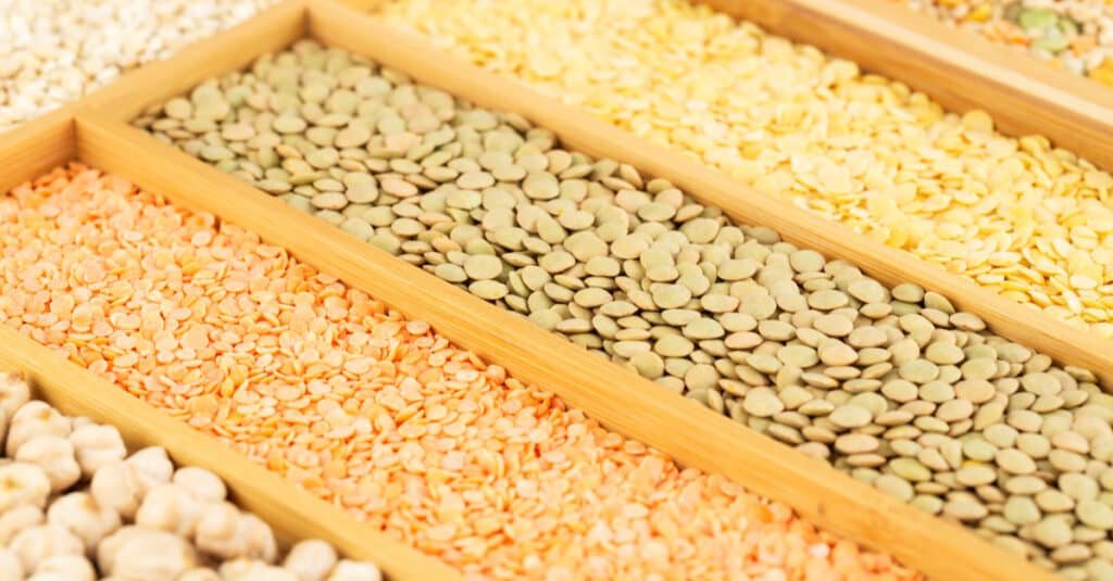 Alani Nu Protein Bar ingredients
