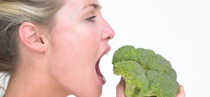 vegetarian snacks rich in plant protein