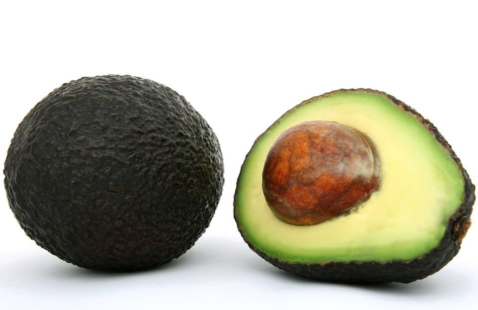 avocado healthy fruit fat
