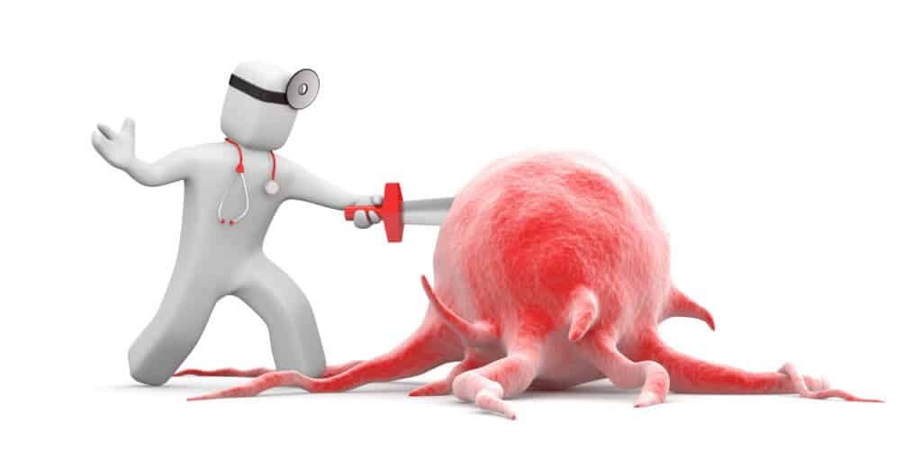 vegan diet and cancer prevention research