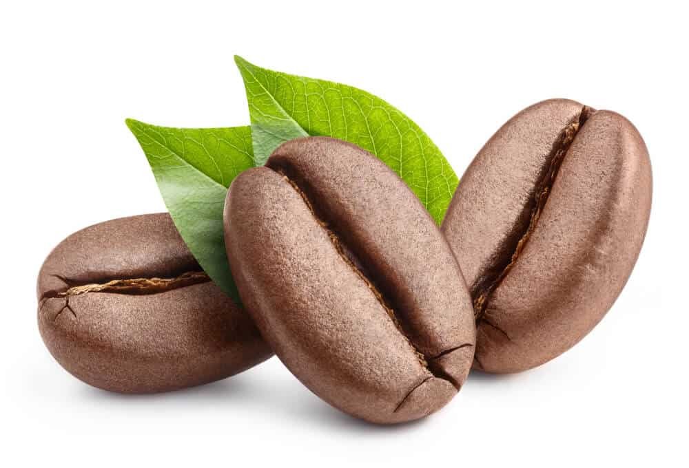 Beyond Raw LIT ingredients
