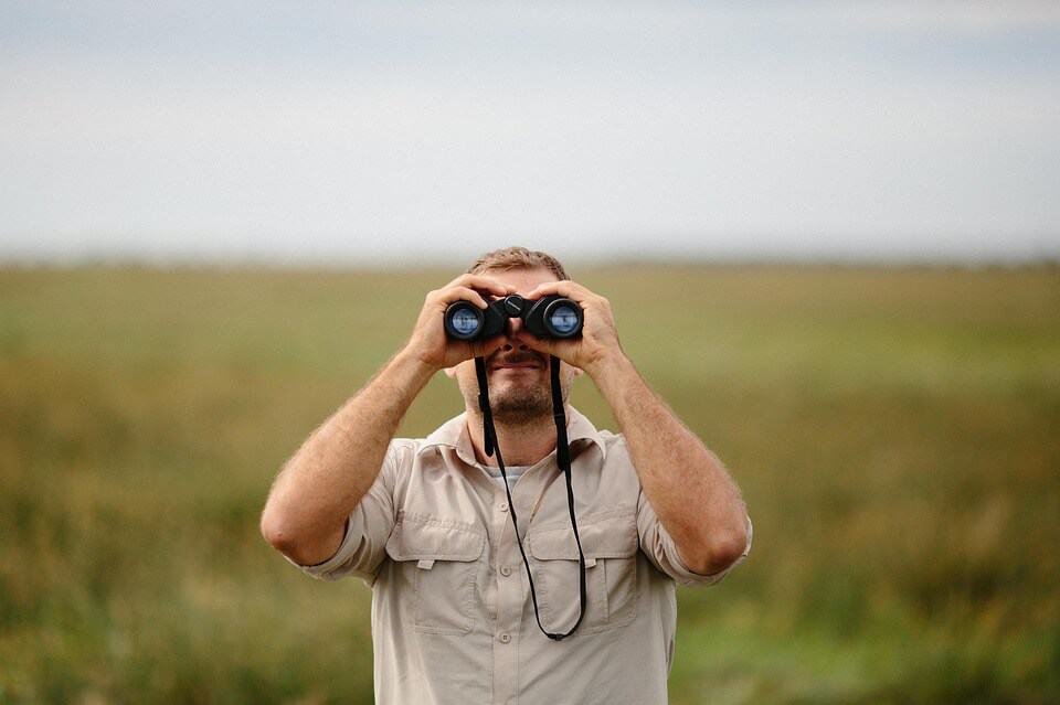 bird watching with binoculars