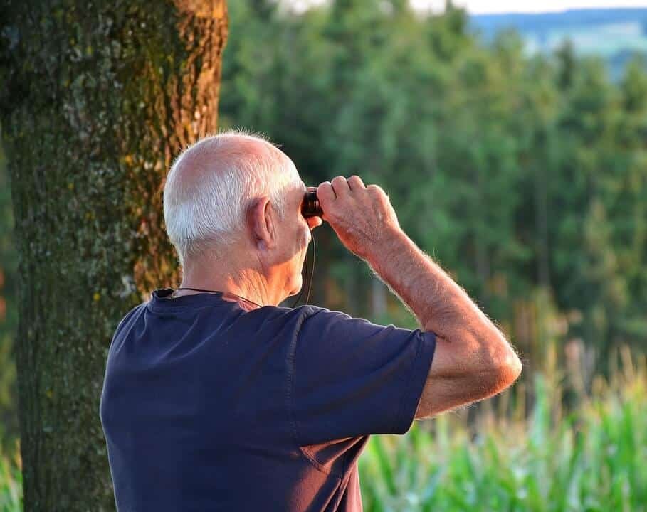 bird watching in the woods