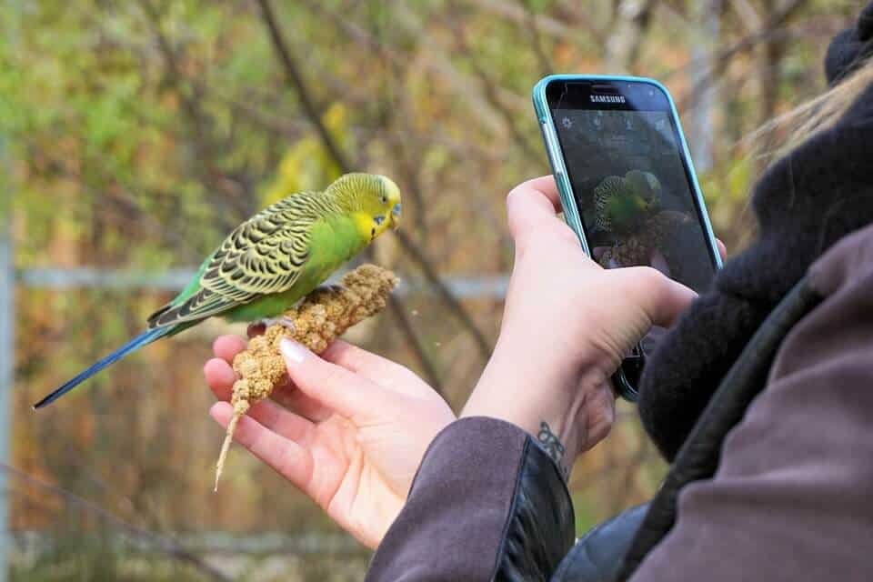 bird watching equipment