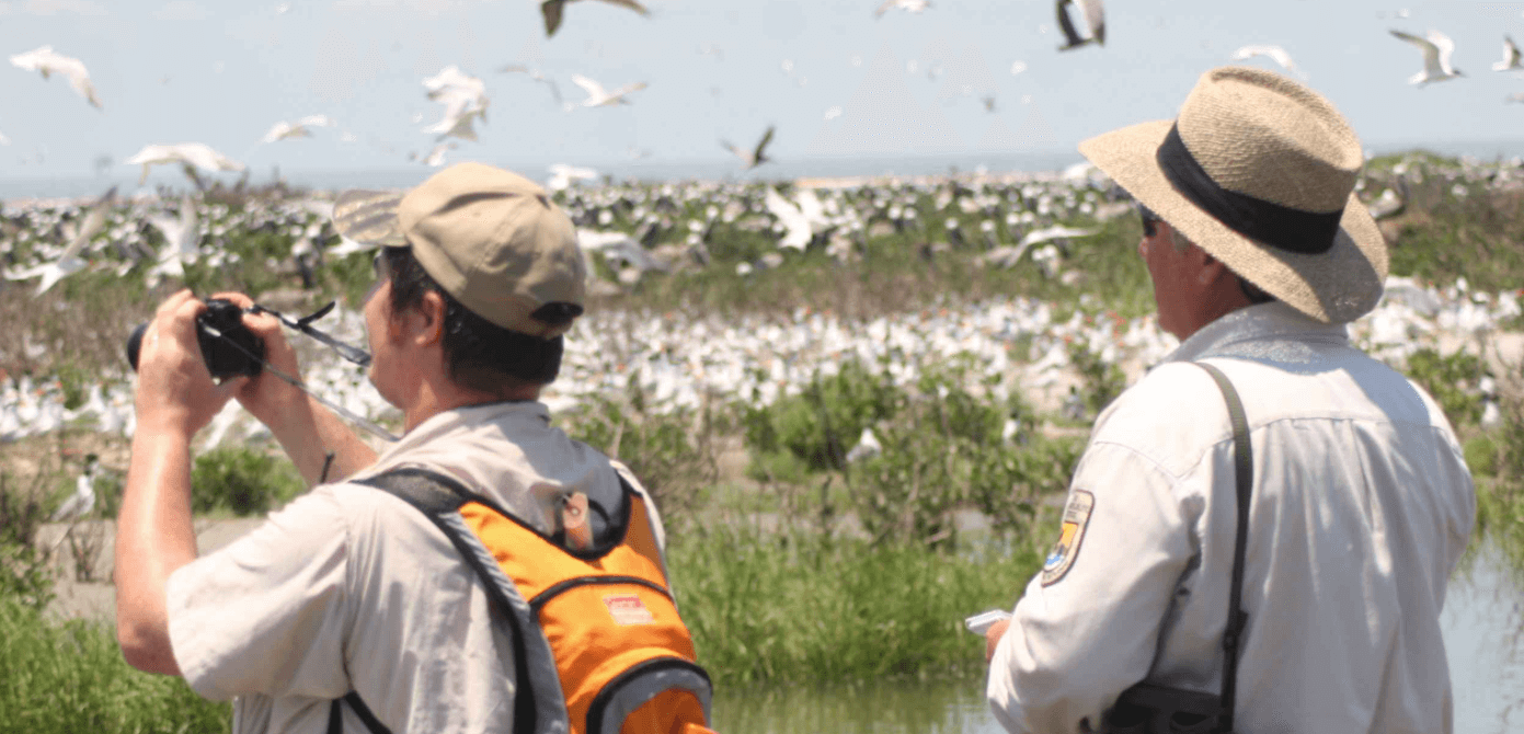 bird watching guide