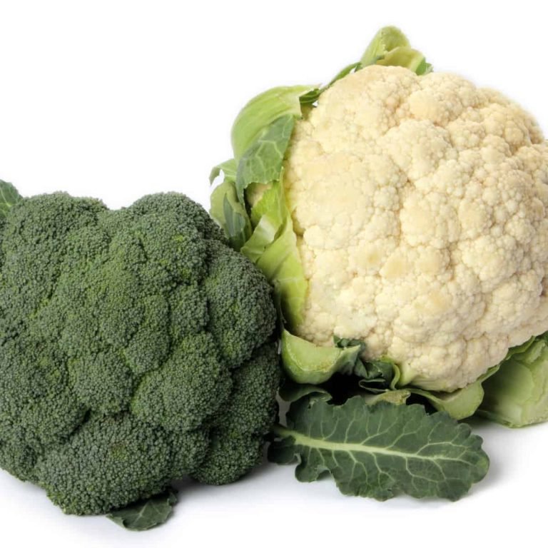 Broccoli - The Dynamic Duo: Health Benefits of Cauliflower and Broccoli