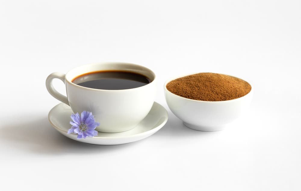 Chicory drink