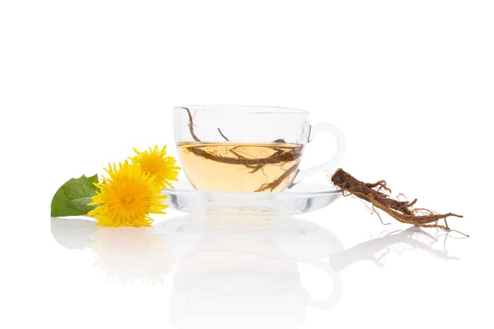 Dandelion tea