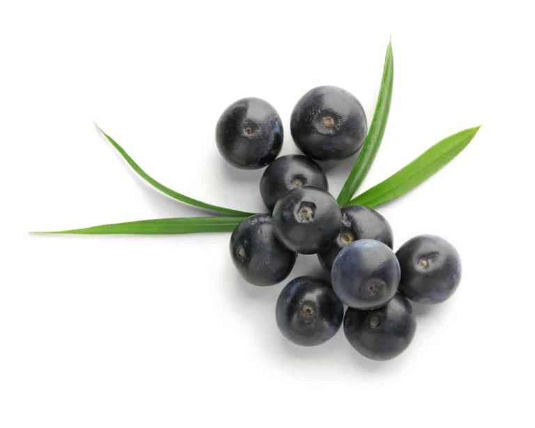 Health Benefits - 11 Exotic Fruits and Their Health Benefits