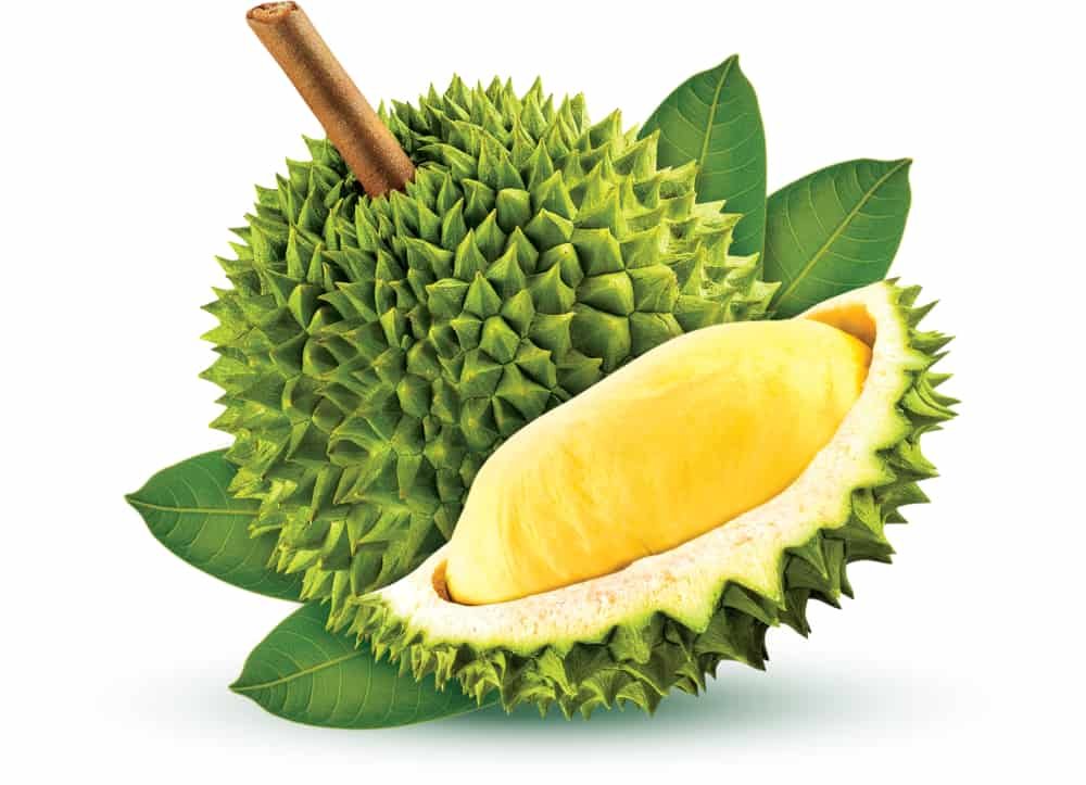 Exotic fruit durian