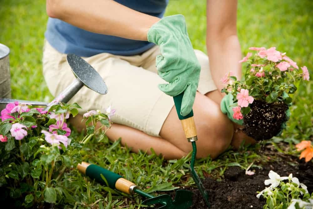 Gardening as a New Year's resolution