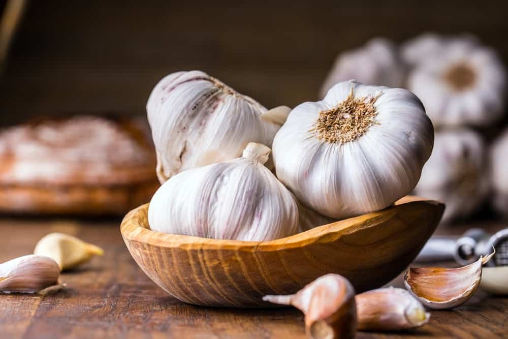 Garlic and immunity