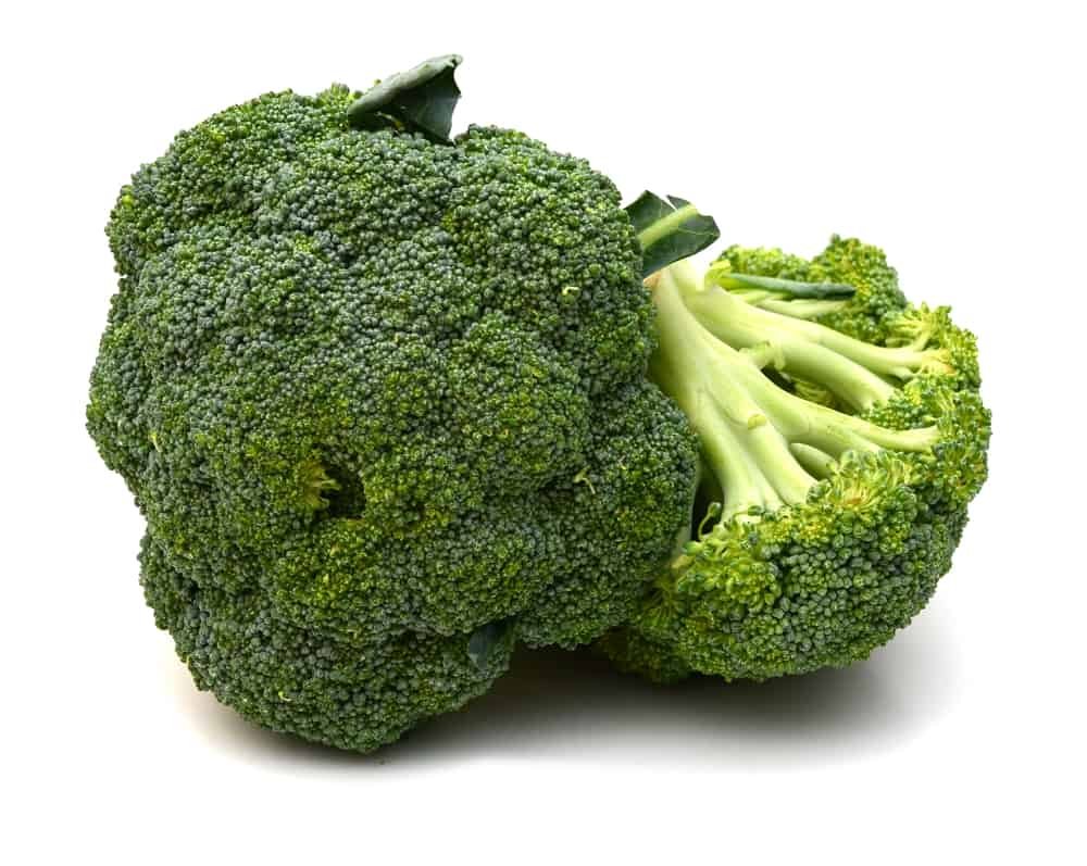 Head of broccoli