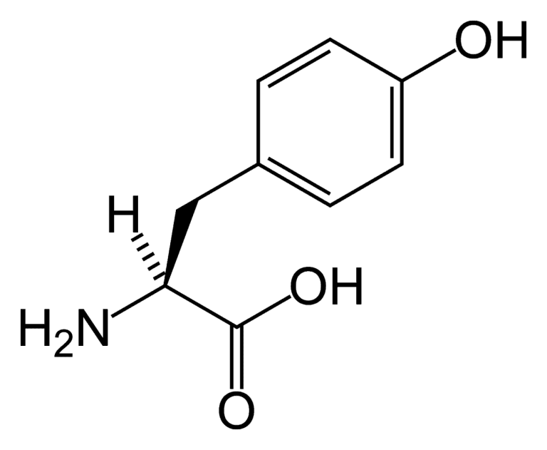 L-Tyrosine amino acid nootropic supplement