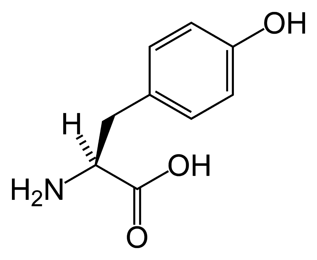 L-Tyrosine amino acid nootropic supplement