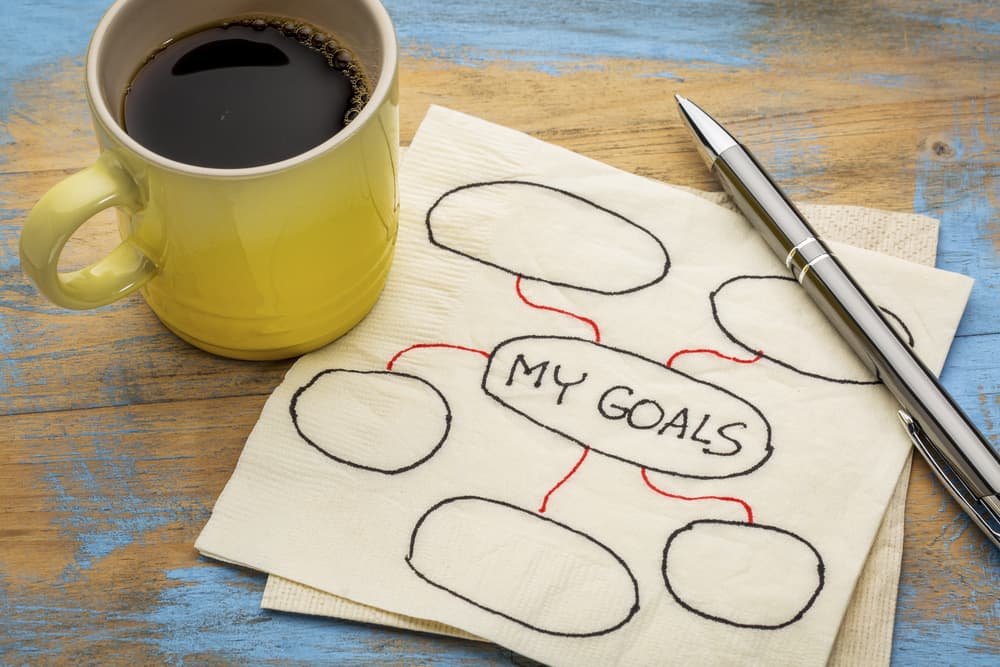 Lifestyle coach goal setting