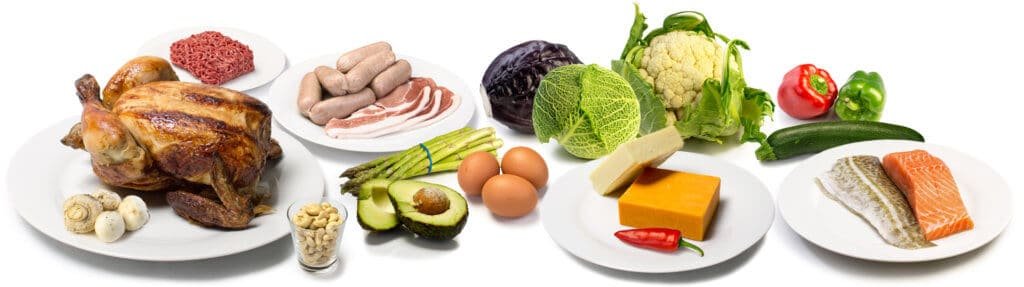 low carb diet alternatives and meal ideas
