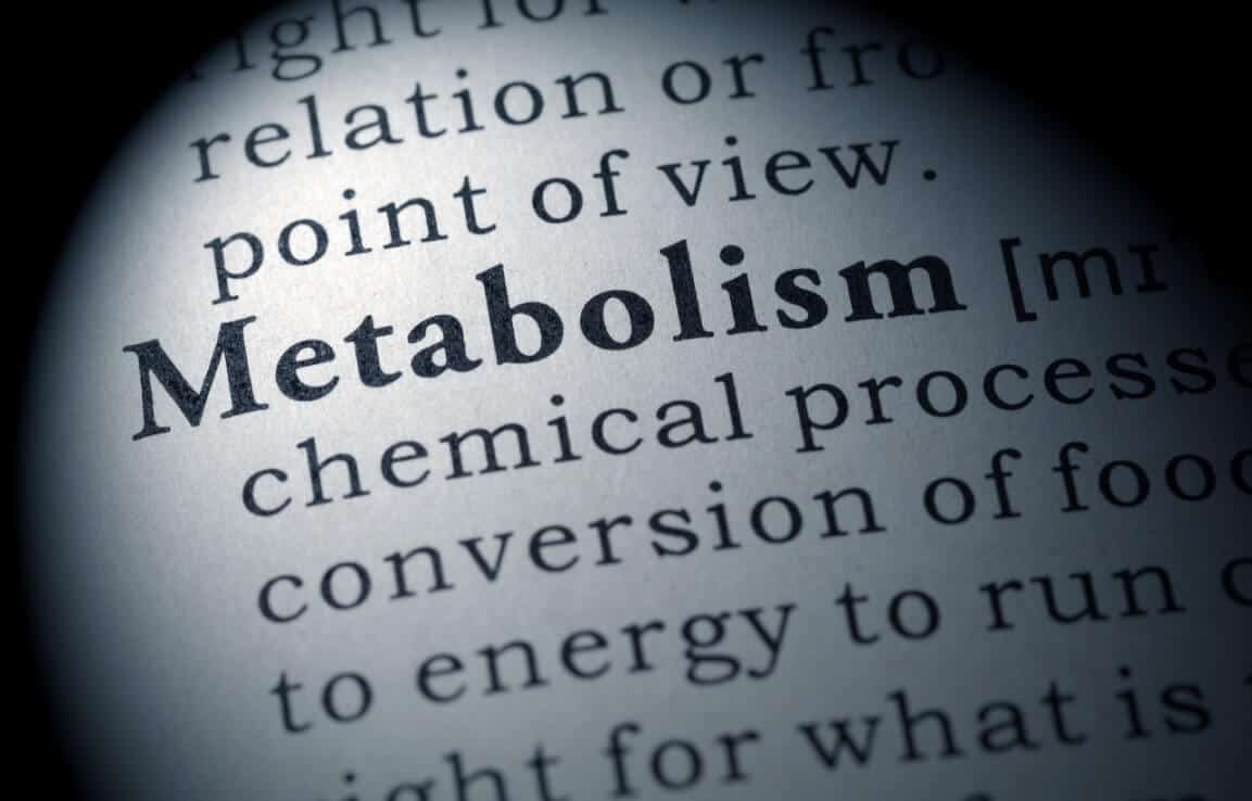 metabolism booster