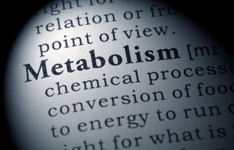 metabolism booster