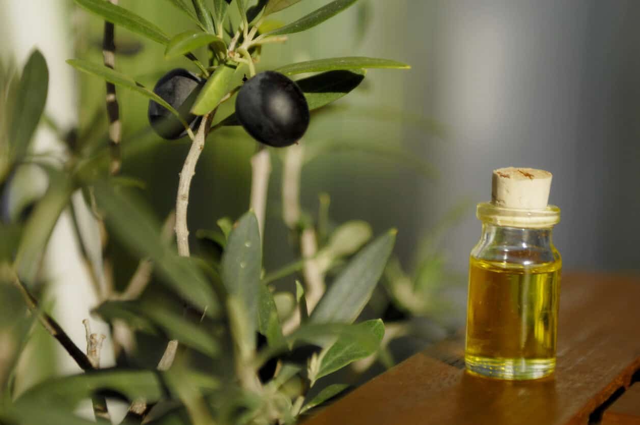 olive leaf extract