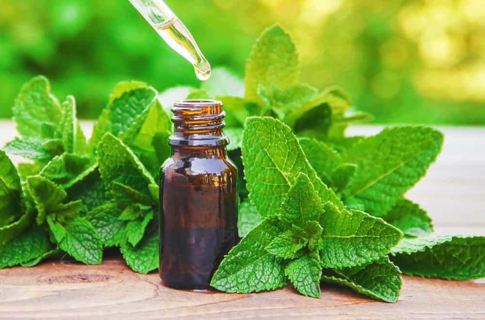 Peppermint and GI distress