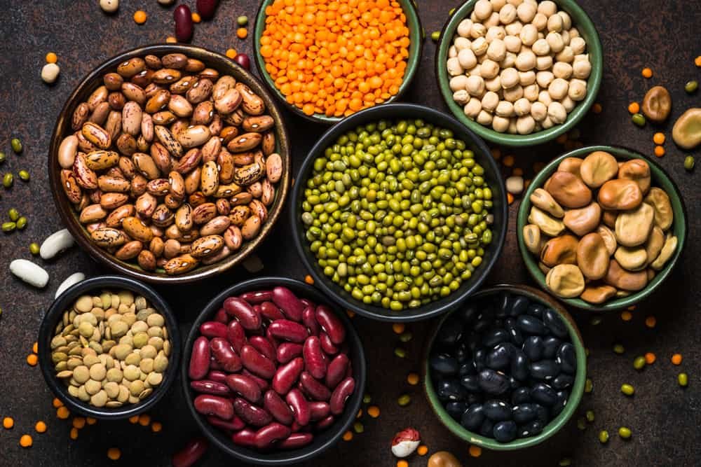 Plant-based protein