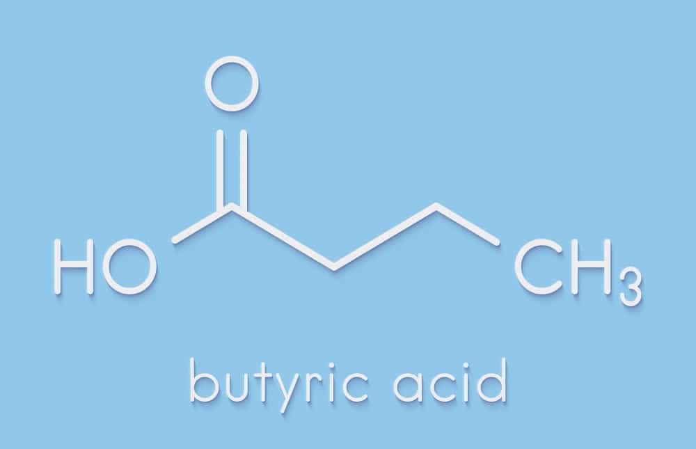 Postbiotic short-chain fatty acids