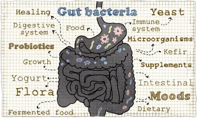 Postbiotics Health - Postbiotics: Health, Well-Being and Weight Loss