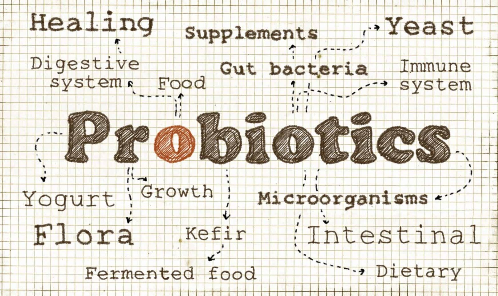 probiotics benefits