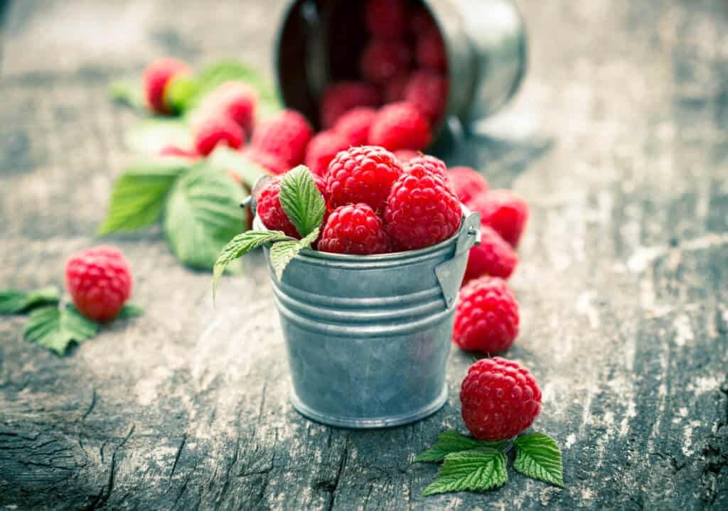 fasting diet foods