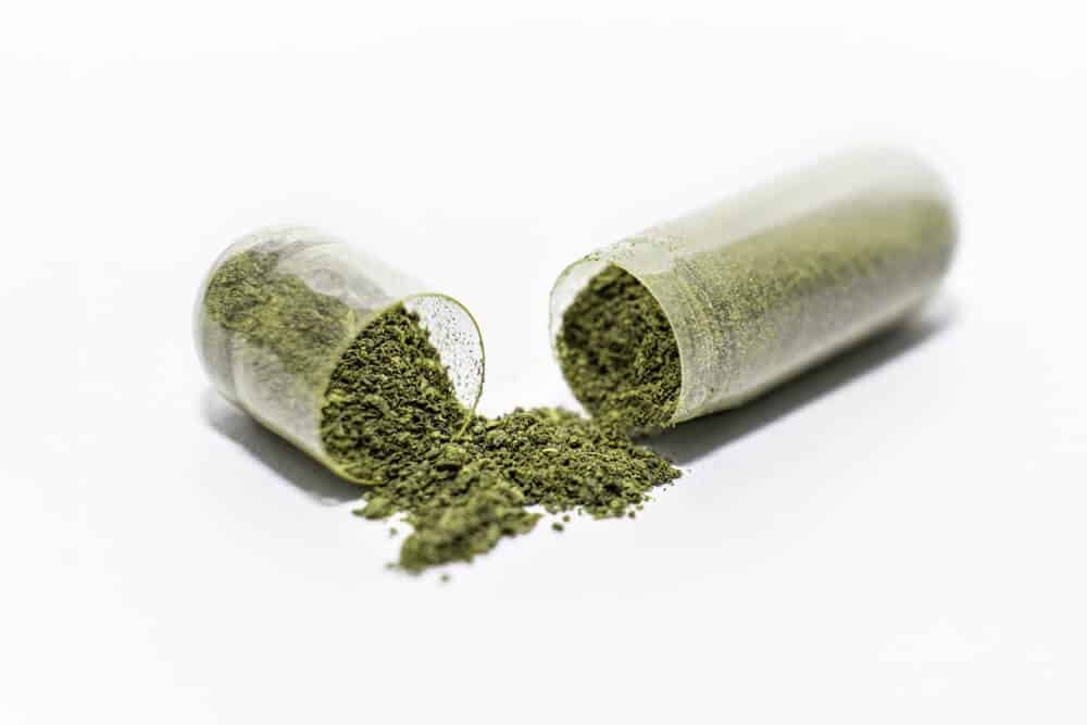 Seed Probiotic ingredients