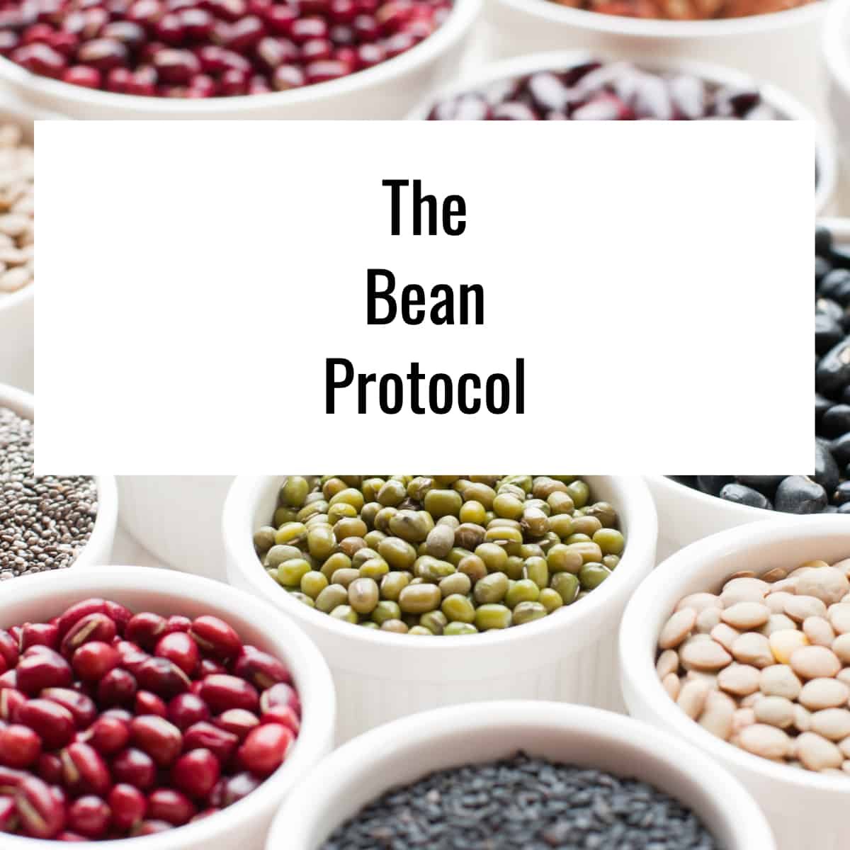 Bean Protocol - The Bean Protocol Review