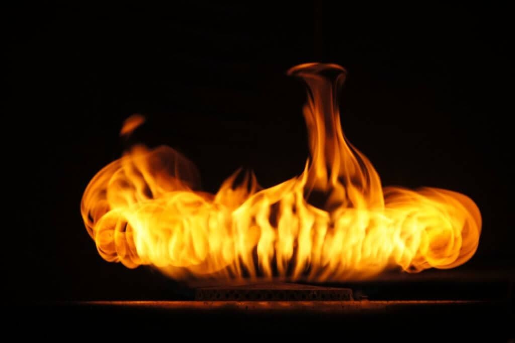 thermogenic foods and the negative calorie diet