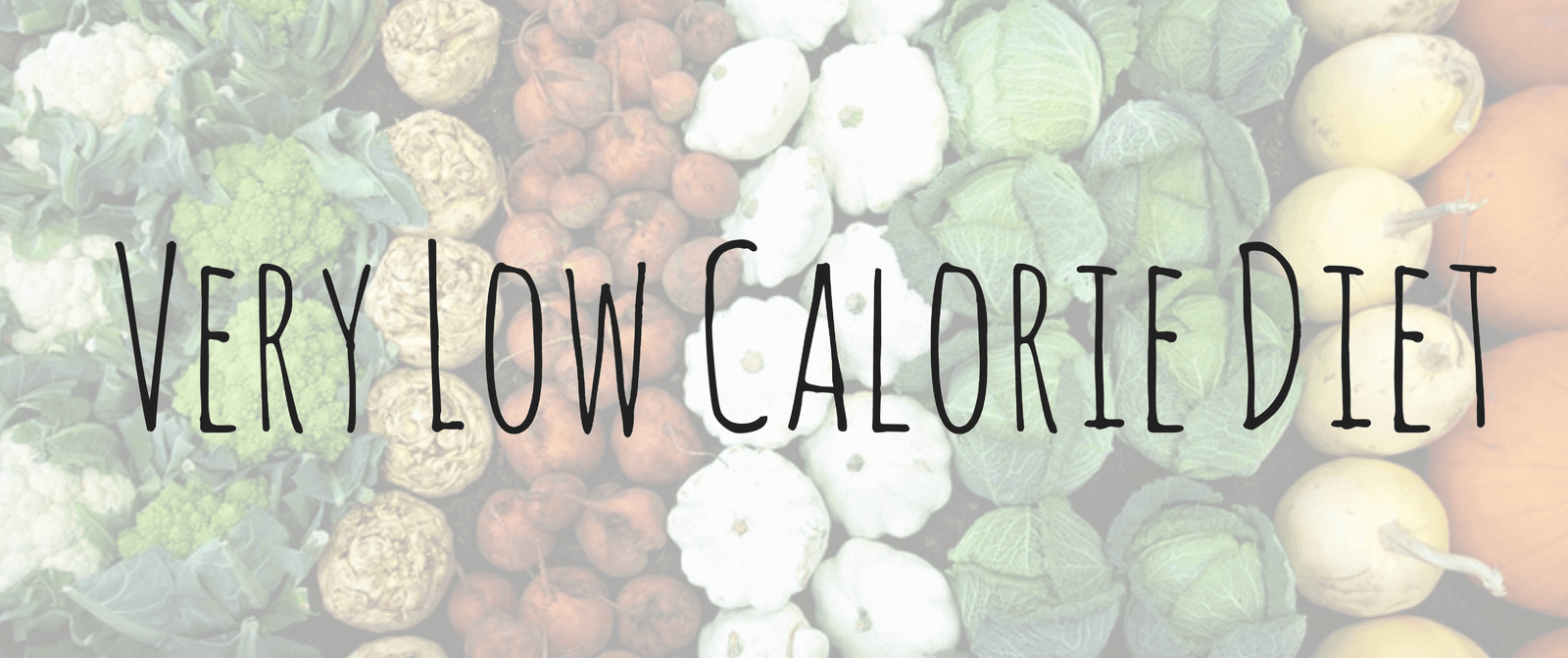 28 day diet