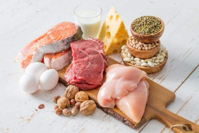 increase protein for max nutrition