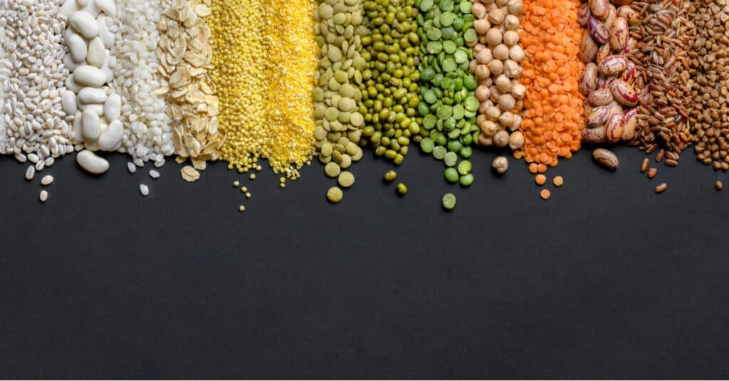 What is Purely Inspired Organic Protein